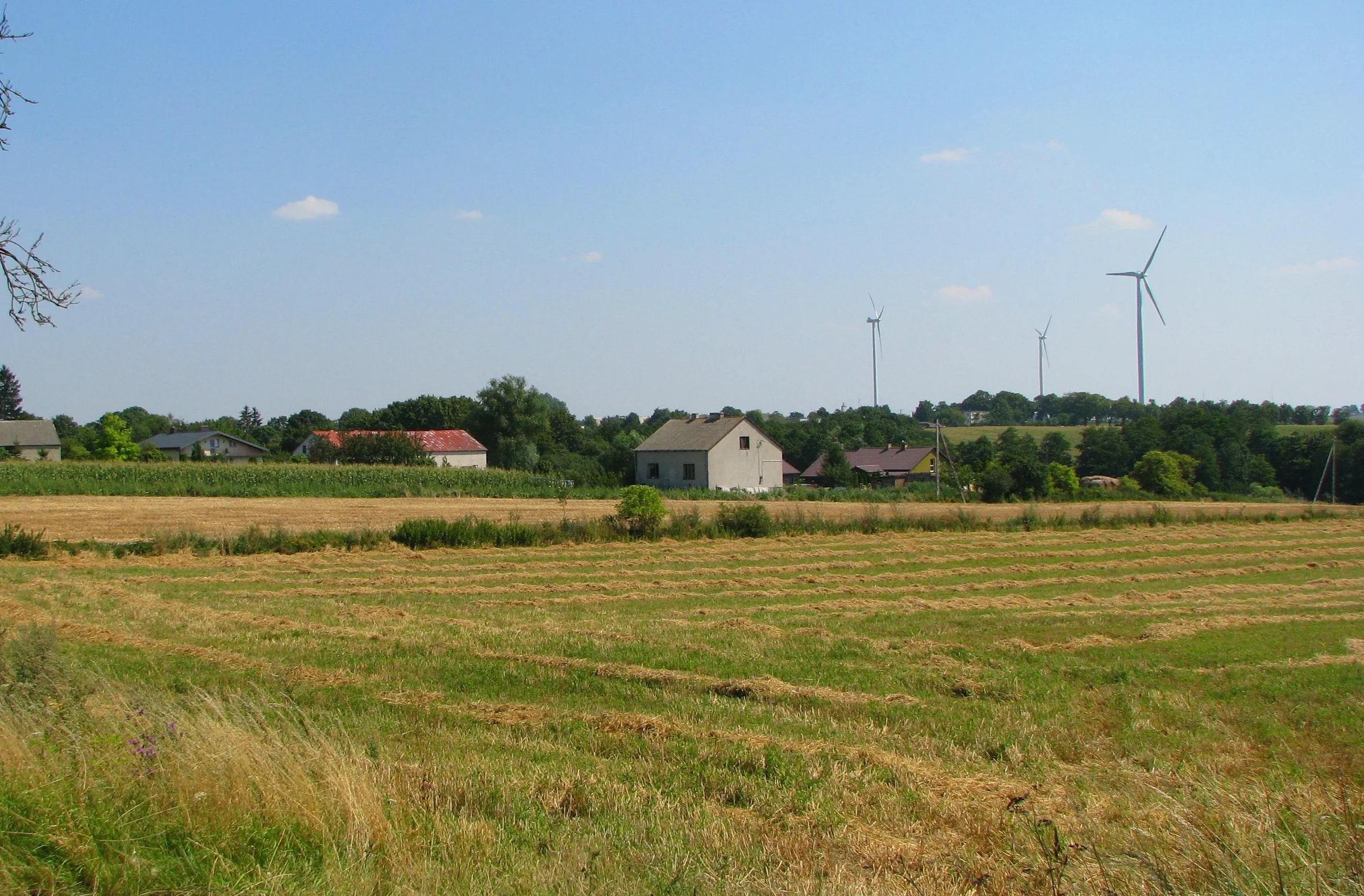 Krajobraz Starorypina, 2014 r. Zdjęcie okolicy; nie przedstawia rozpoznanego wykopu ani rekonstrukcji grodu.