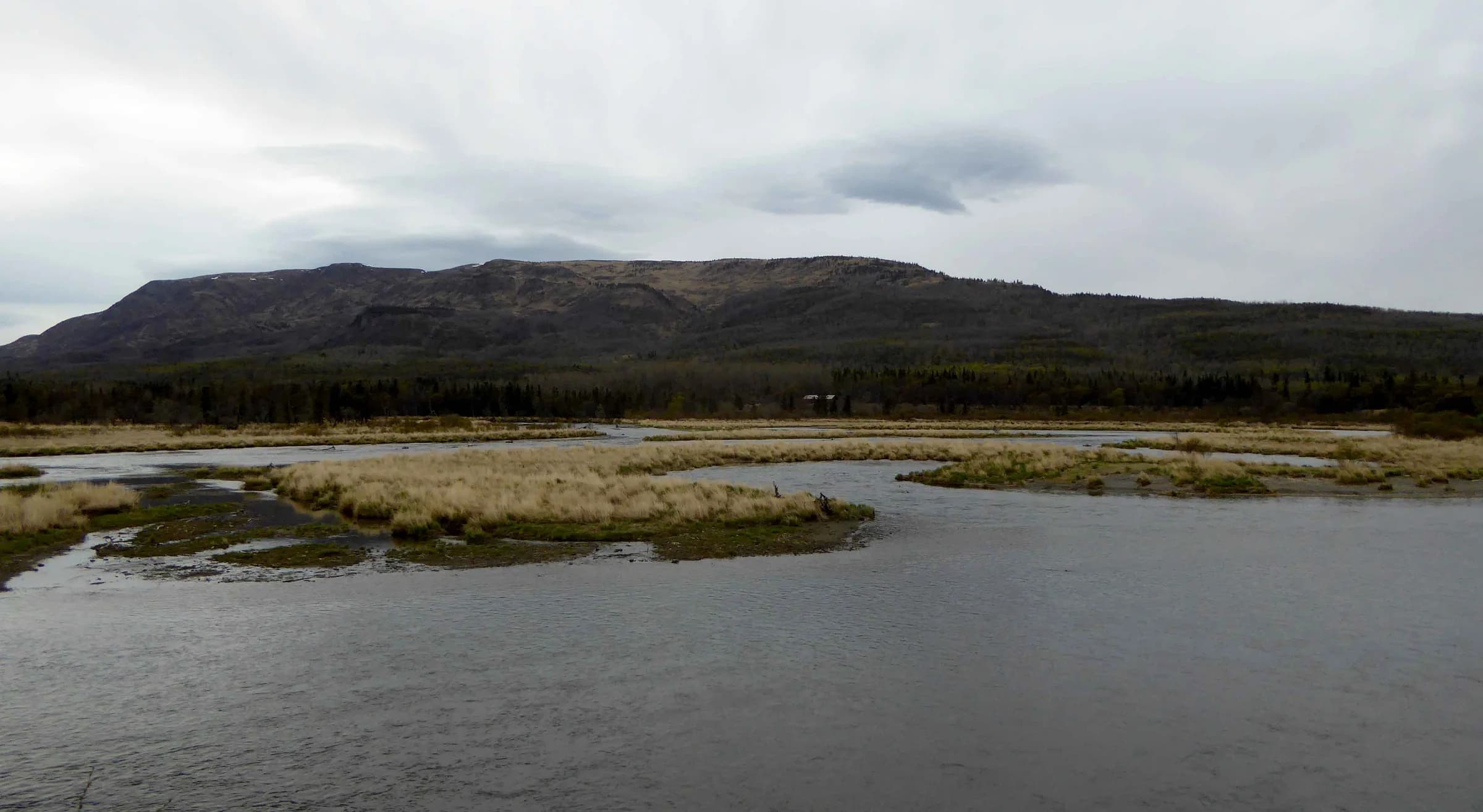 Lower Brooks River and Dumpling Mountain in May 2015; habitat context, with no bear identified.