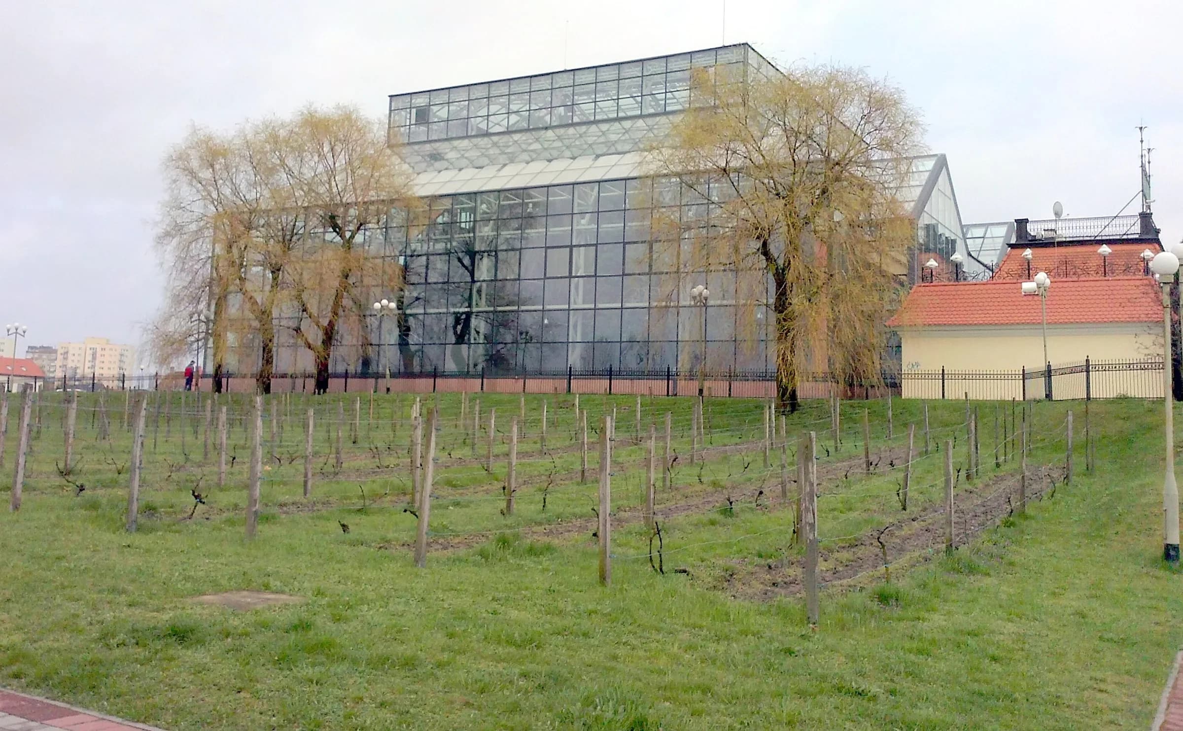 Palmiarnia and Wine Hill in Zielona Góra
