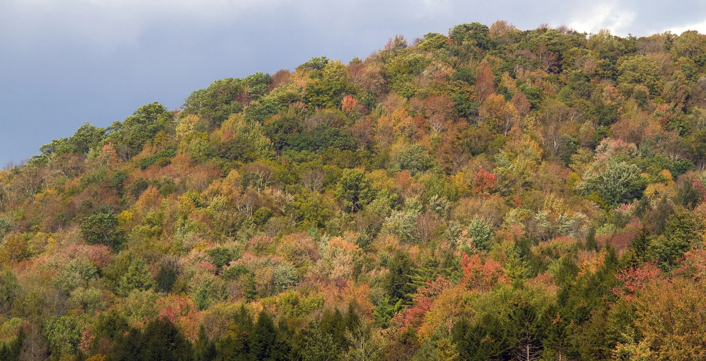 Autumn colours on a hillside beside Vermont Route 100