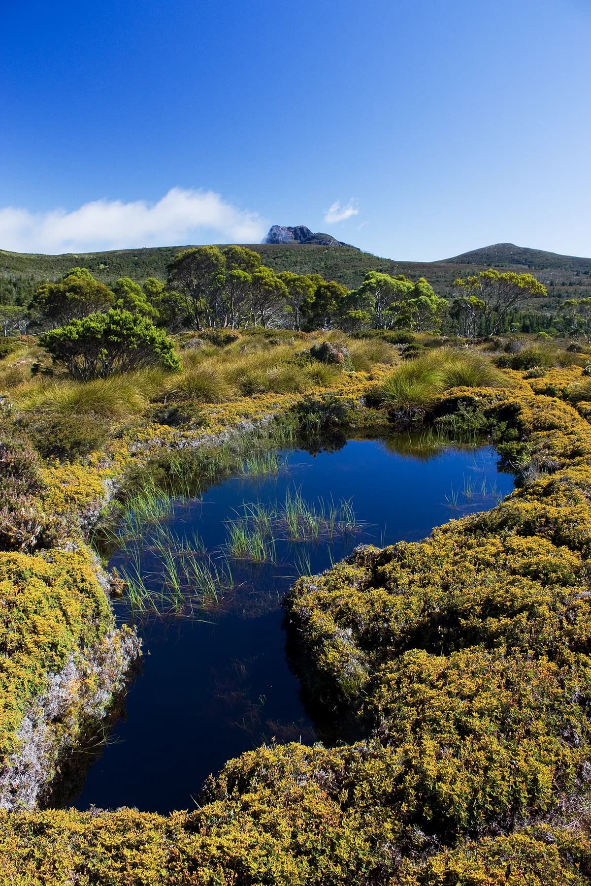 Overland Track — Across Tasmania’s Highlands route