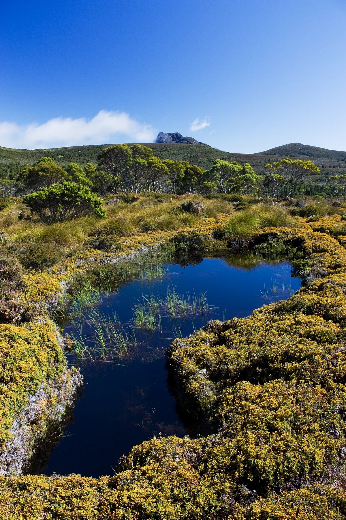 Overland Track — Across Tasmania’s Highlands route