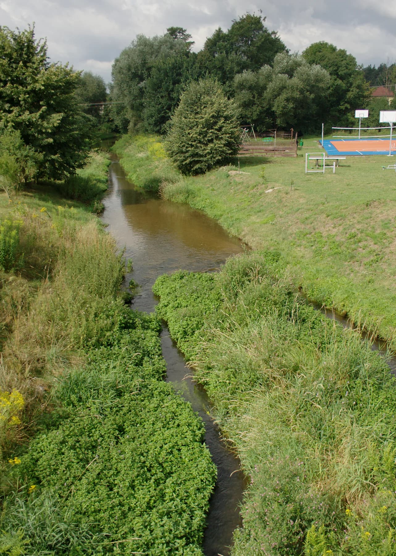 Biała Przemsza przepływająca przez Golczowice