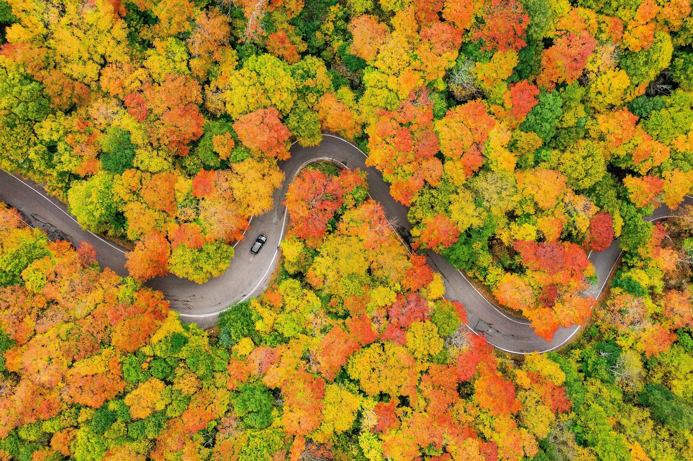 Aerial view of the winding road through peak fall foliage at Smugglers' Notch, Vermont