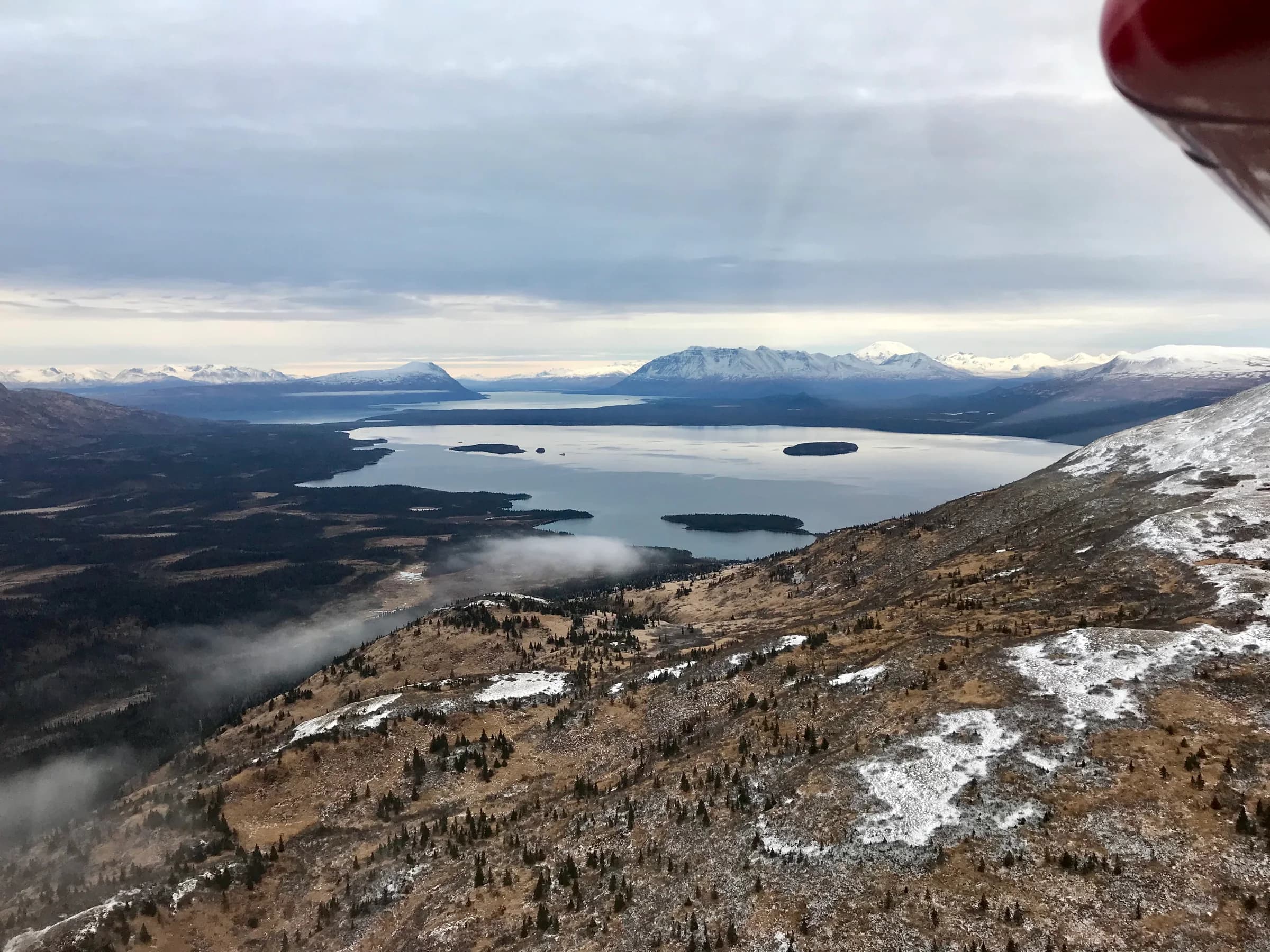 Aerial view of Lake Brooks in November 2017; habitat context rather than a Backpack sighting.