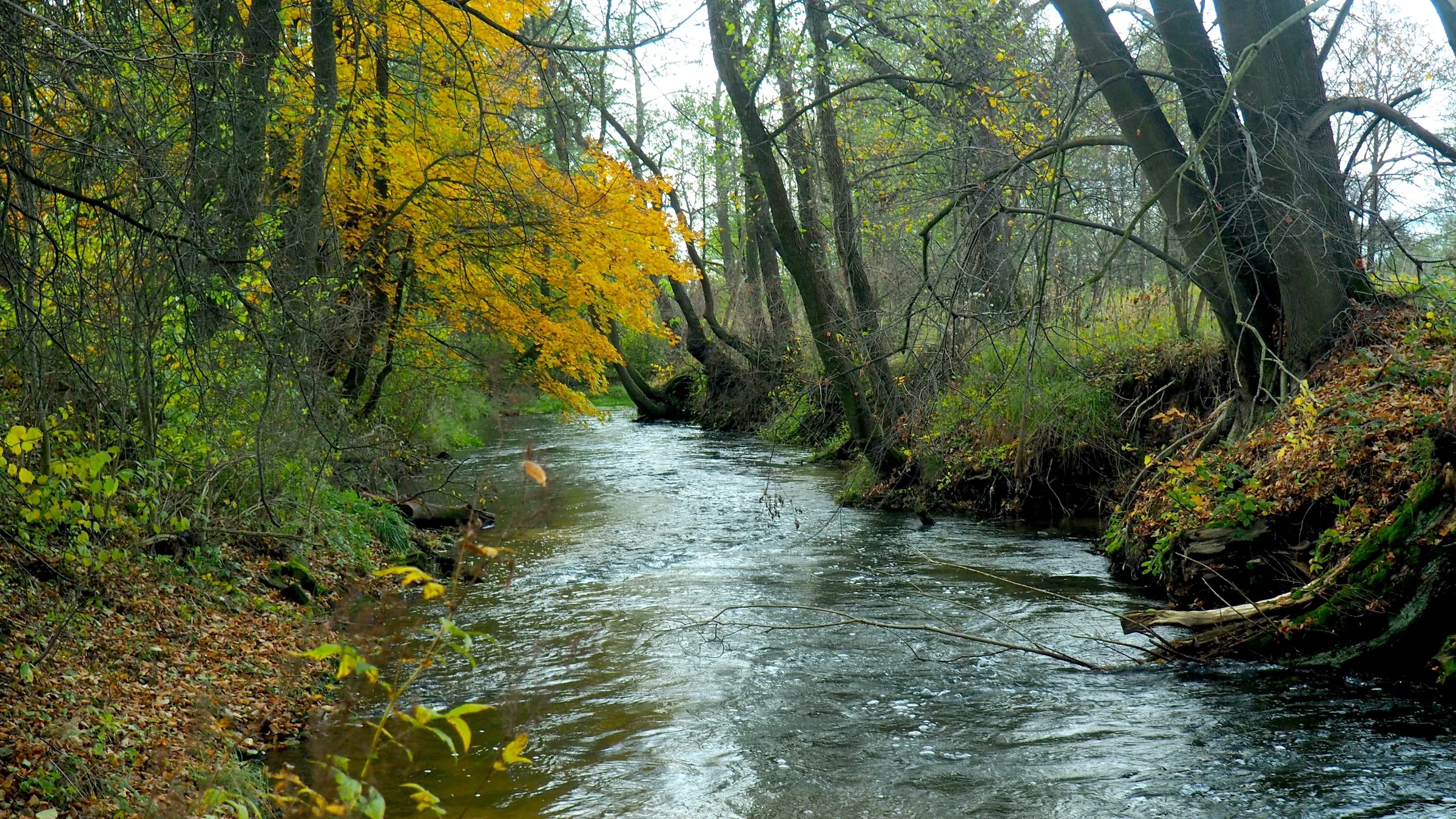 Along the Biala Przemsza Poland