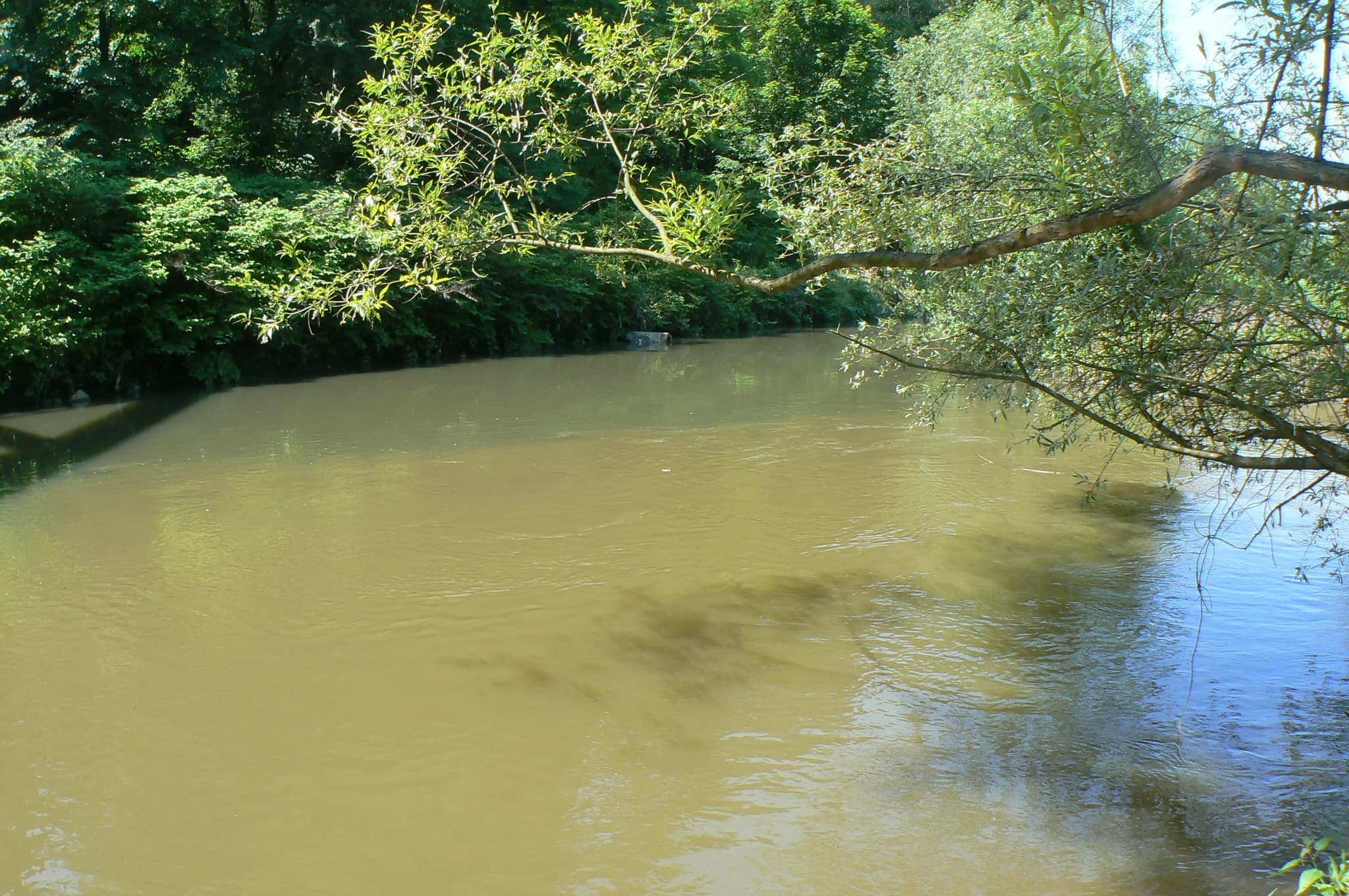 Three Emperors' Corner, the confluence of the Black and White Przemsza rivers